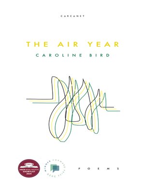 cover image of The Air Year